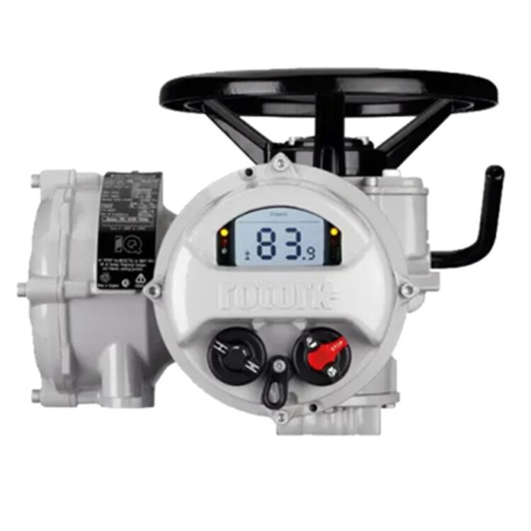 ROTORK多回轉(zhuǎn)羅托克IQ10電動(dòng)執(zhí)行器閥門電動(dòng)裝置